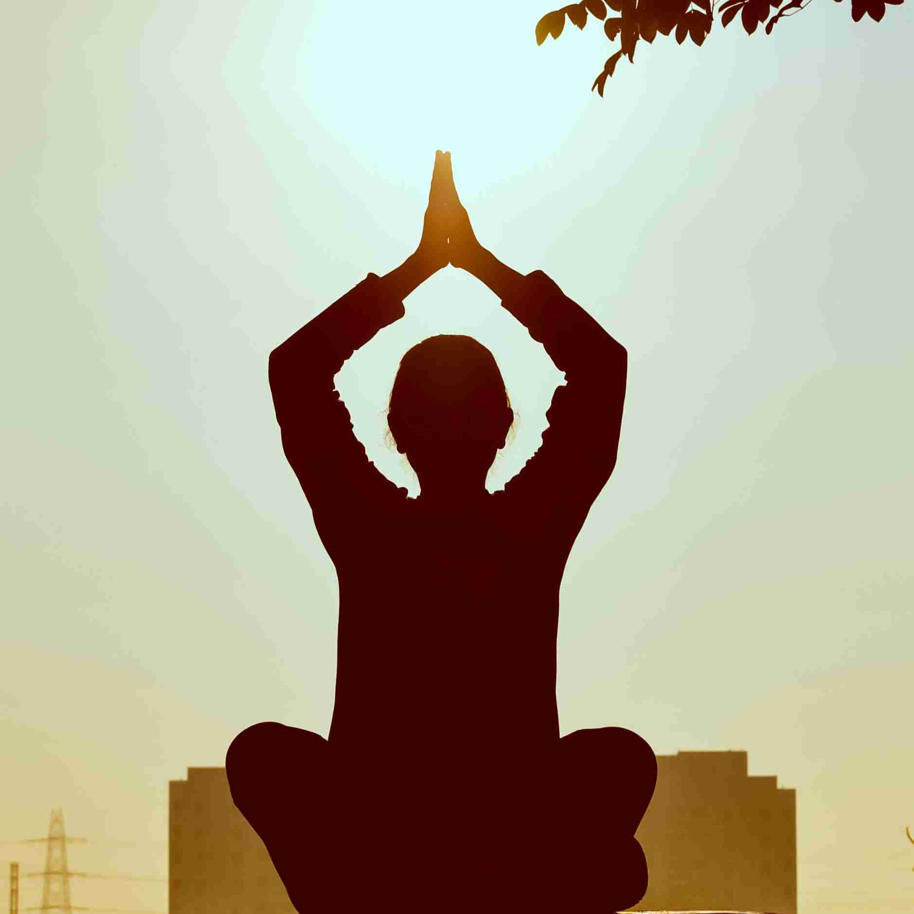 Yoga can be enjoyed both indoors and in the gardens of the hotel or in the nearby historic Lodi Gardens. Our yoga teachers offer a range of disciplines in both group and personal classes. Open on Monday, Wednesday, and Friday, by appointment only.